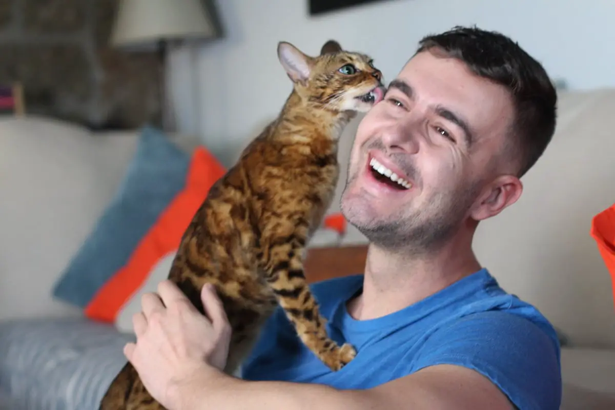 Why Do Cats Lick You?