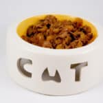 homemade cooked cat food recipes