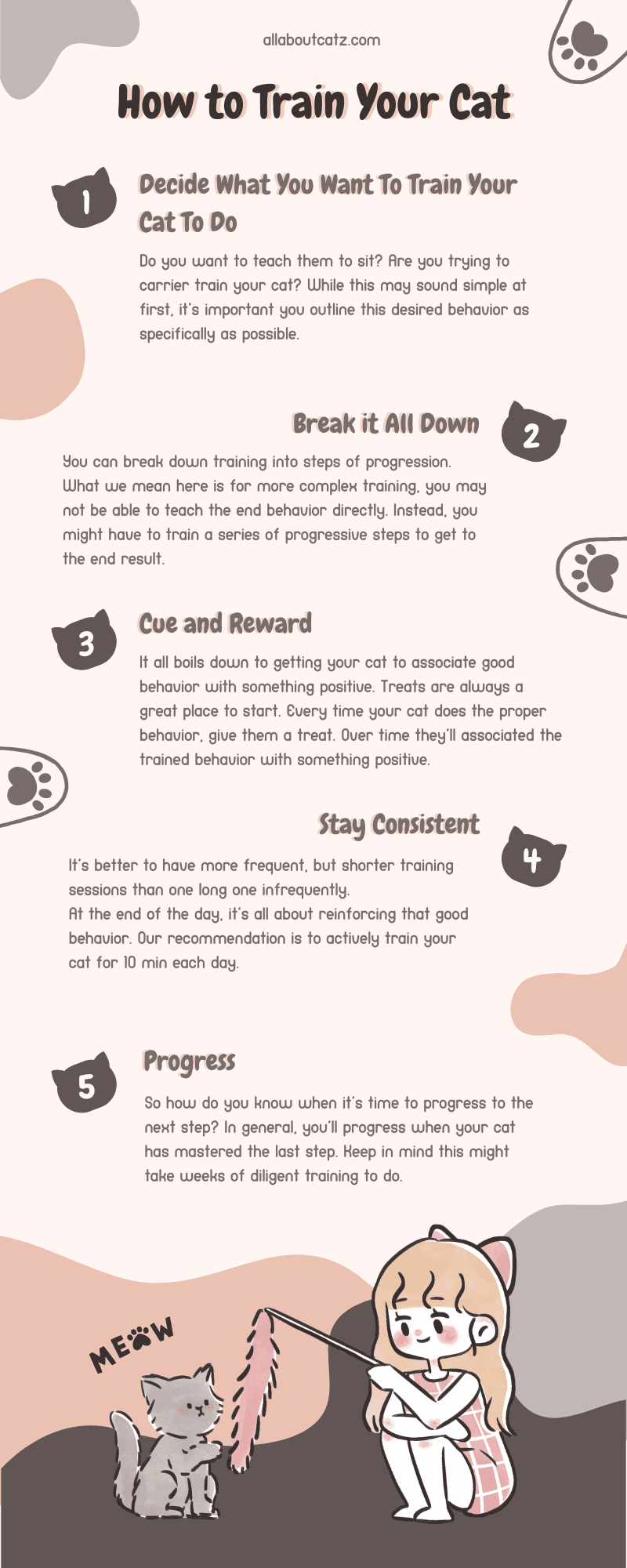 How To Train A Cat: The Ultimate Guide