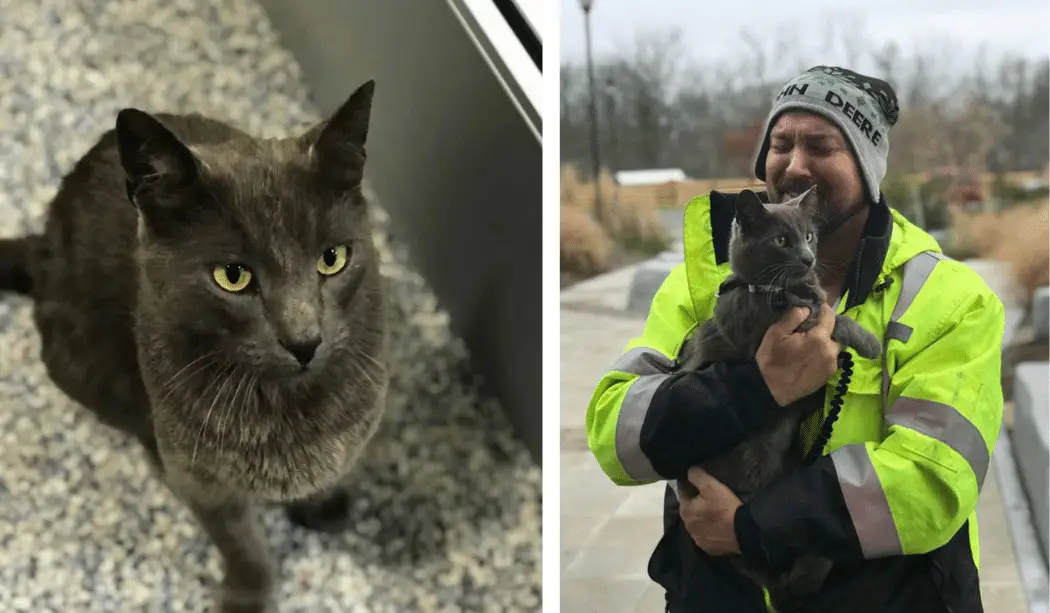 Trucker Bursts into Tears After Being Reunited with His Travel Buddy ...